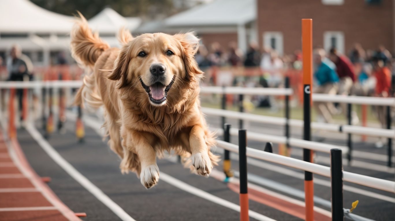 Benefici della Terapia con Cani in Attività Sportive e di Ricerca - Metodi Non Convenzionali di Addestramento per Cani Terapeutici 
